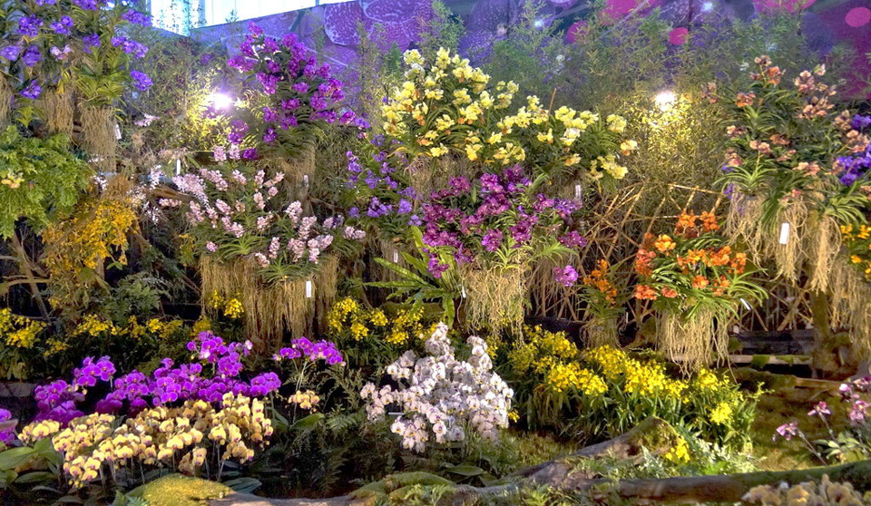Taiwan International Orchid Show 2016 – Международная выставка орхидей 2016 Taiwan International Orchid Show 2016 – Международная выставка орхидей 2016 фото