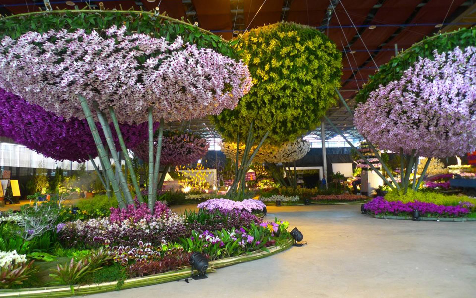 Taiwan International Orchid Show 2016 – Международная выставка орхидей 2016 Taiwan International Orchid Show 2016 – Международная выставка орхидей 2016 фото